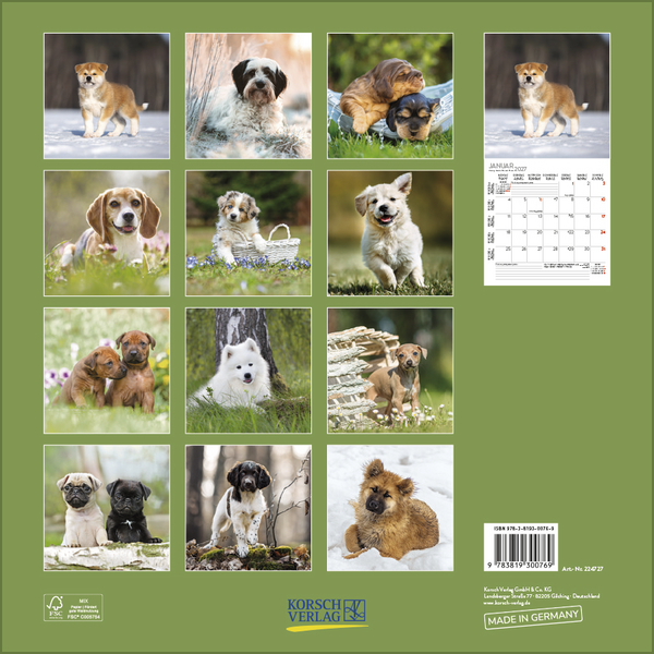 Dogs 2027, Innenansicht #13