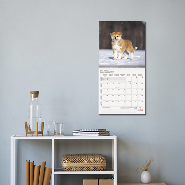 Dogs 2027, Innenansicht #16