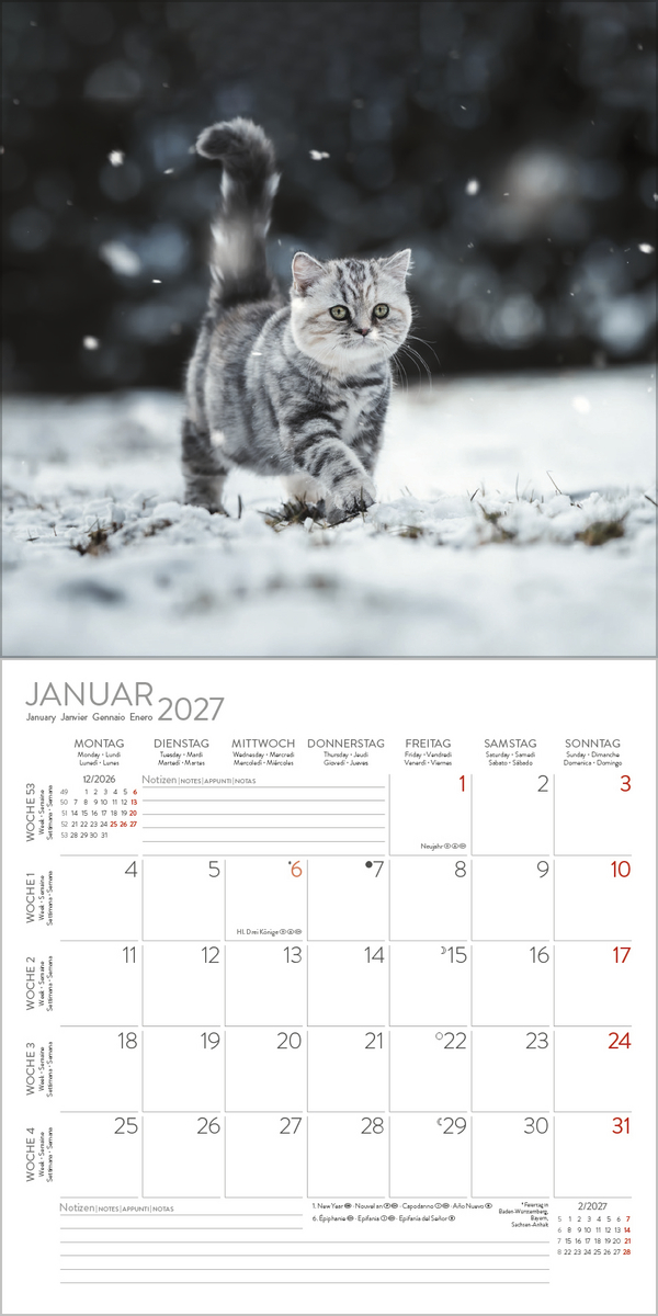 Cats 2027, Innenansicht #1