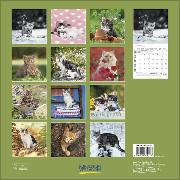 Cats 2027, Innenansicht #13