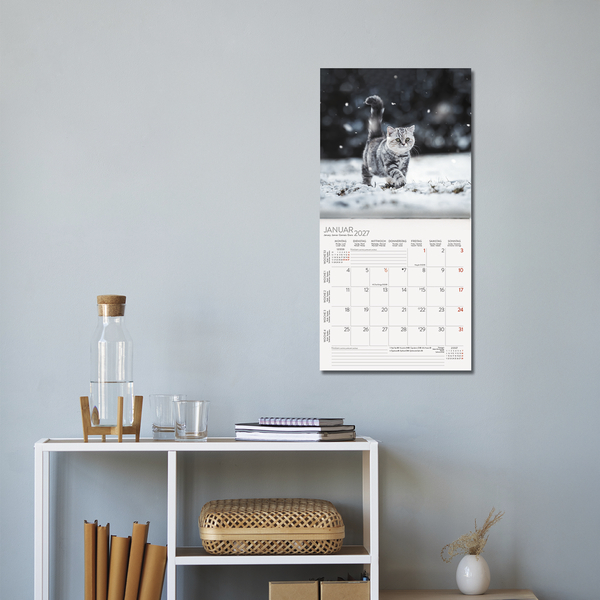 Cats 2027, Innenansicht #16