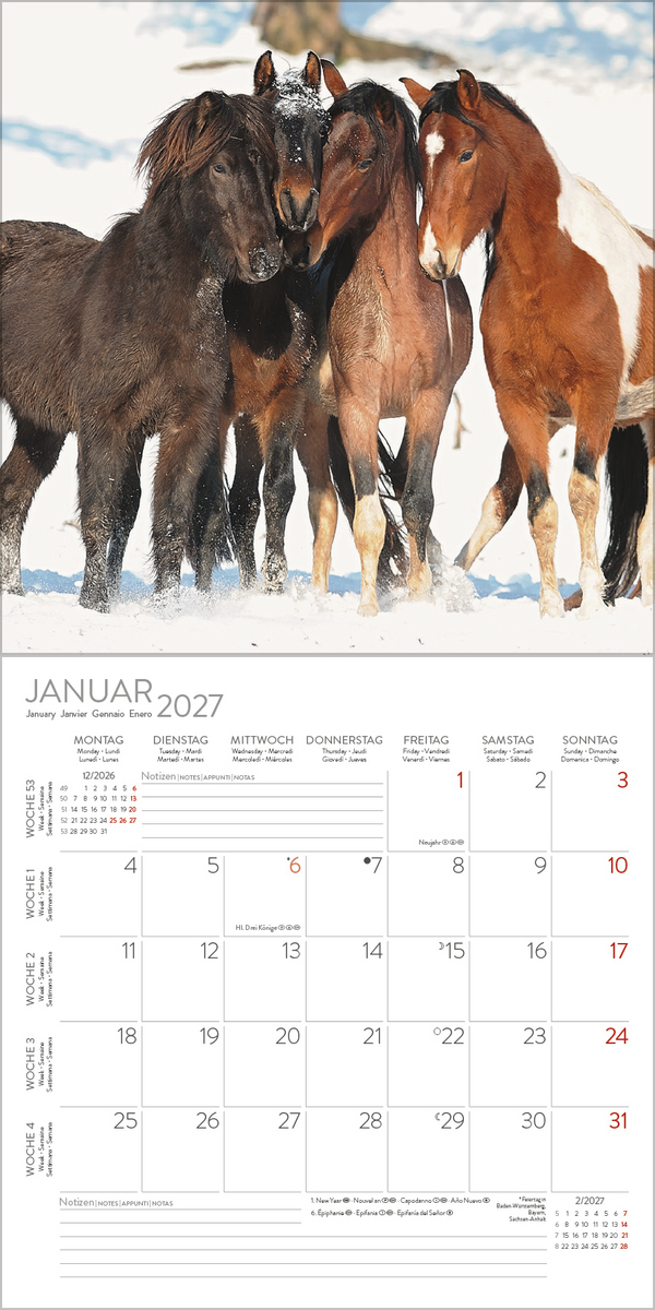 Horses 2027, Innenansicht #1