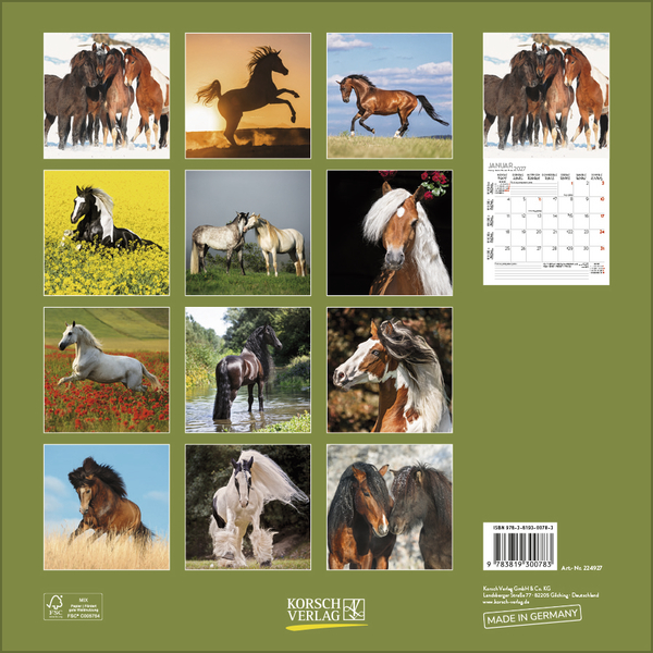 Horses 2027, Innenansicht #13