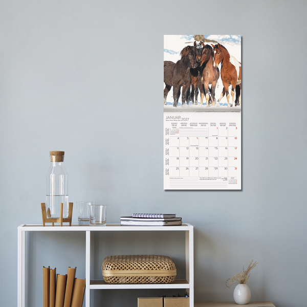 Horses 2027, Innenansicht #16