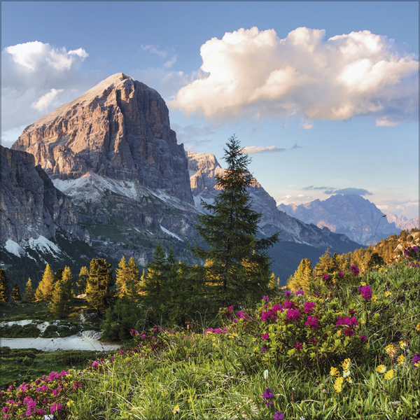 Alpen 2027, Innenansicht #4