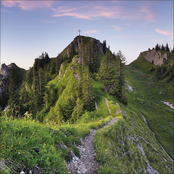 Alpen 2027, Innenansicht #5