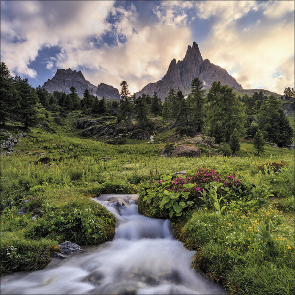 Alpen 2027, Innenansicht #7