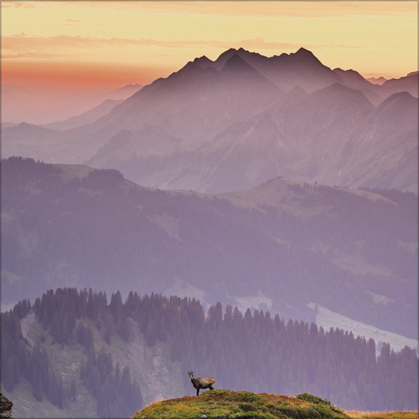 Alpen 2027, Innenansicht #9