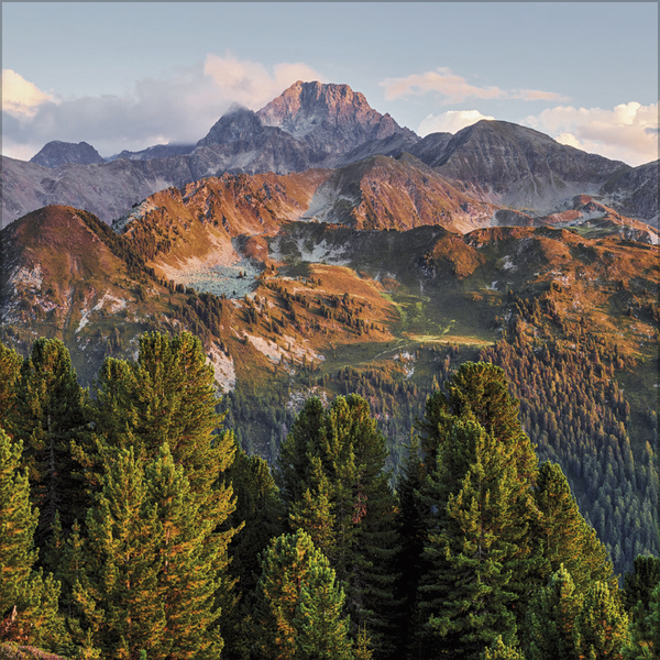 Alpen 2027, Innenansicht #10