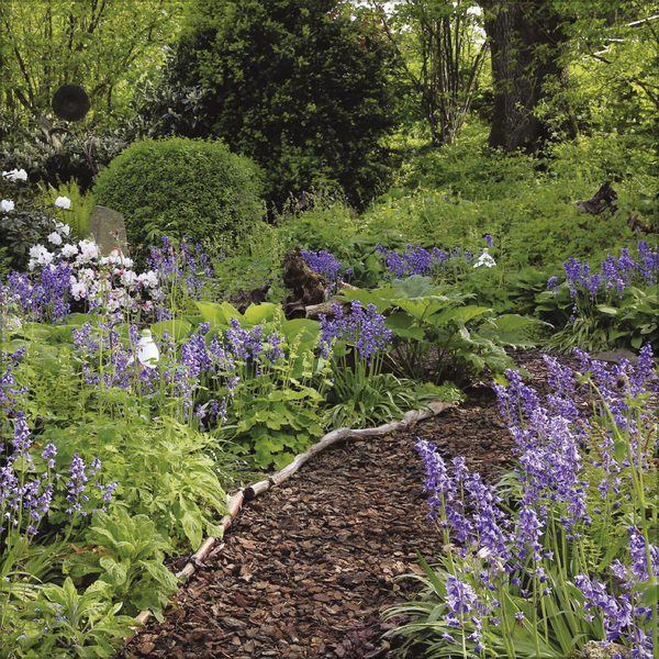 Gartentr&auml;ume 2027, Innenansicht #4