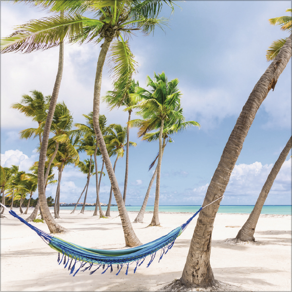 Trauminseln 2027, Innenansicht #4