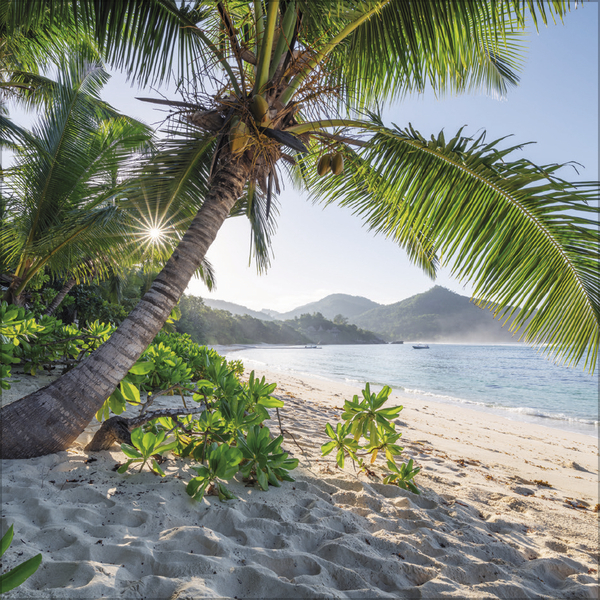 Trauminseln 2027, Innenansicht #6