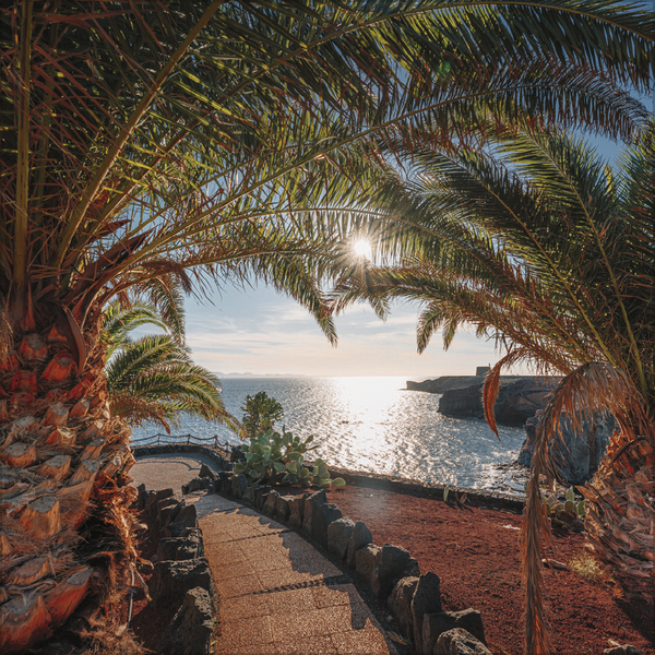 Trauminseln 2027, Innenansicht #9