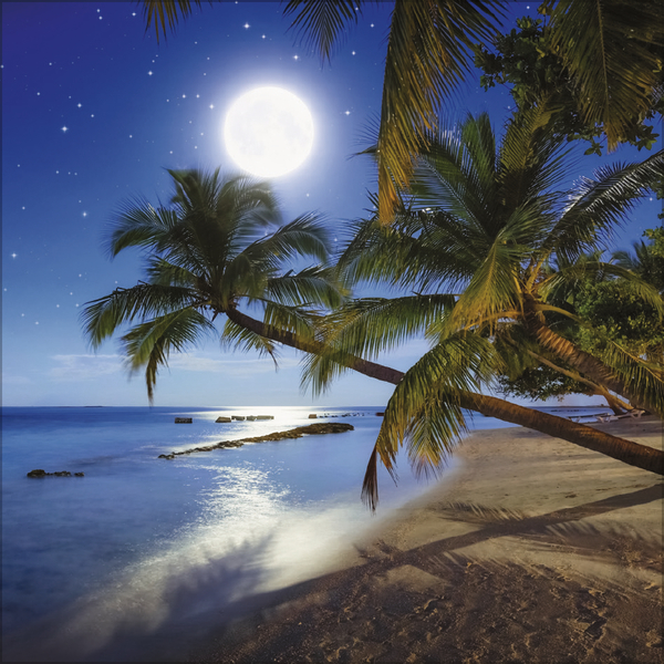 Trauminseln 2027, Innenansicht #12