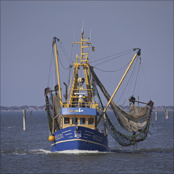 Meerblicke - Nord- und Ostsee 2027, Innenansicht #8