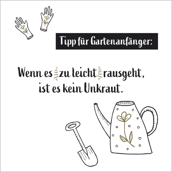 Visual Words 2027, Innenansicht #4