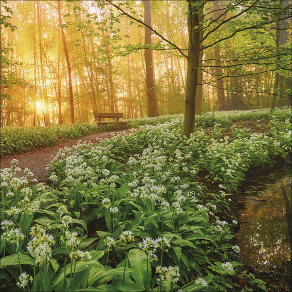 Augenblicke der Stille 2027, Innenansicht #3