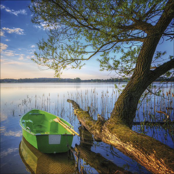 Augenblicke der Stille 2027, Innenansicht #4