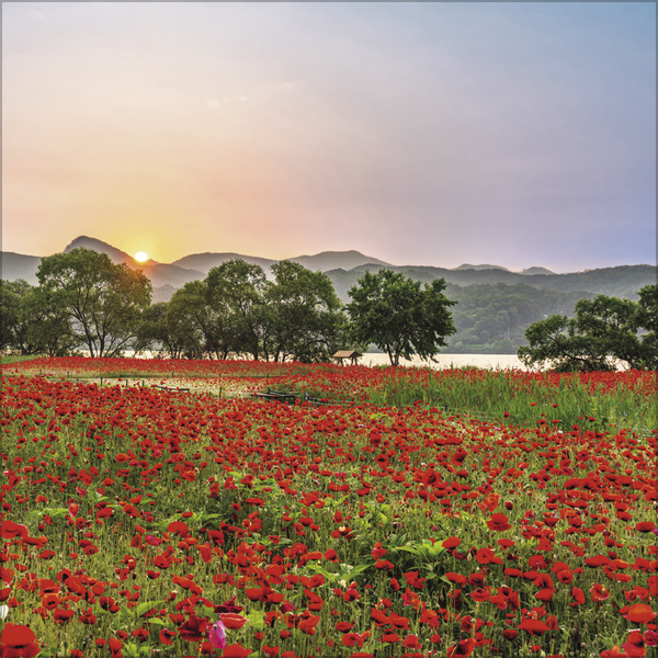 Augenblicke der Stille 2027, Innenansicht #5