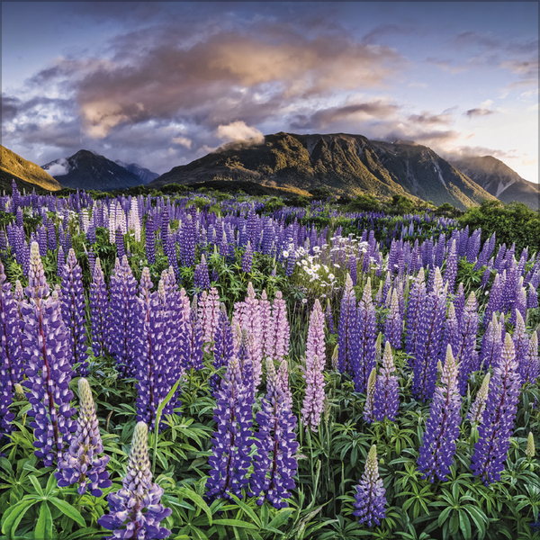 Augenblicke der Stille 2027, Innenansicht #8