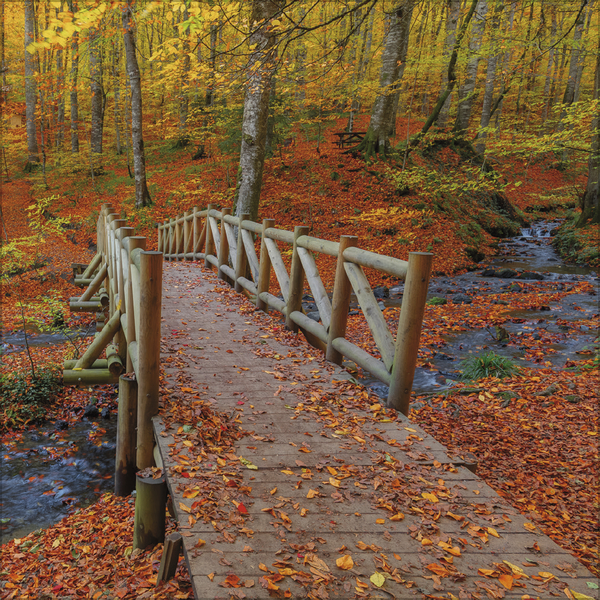 Augenblicke der Stille 2027, Innenansicht #10