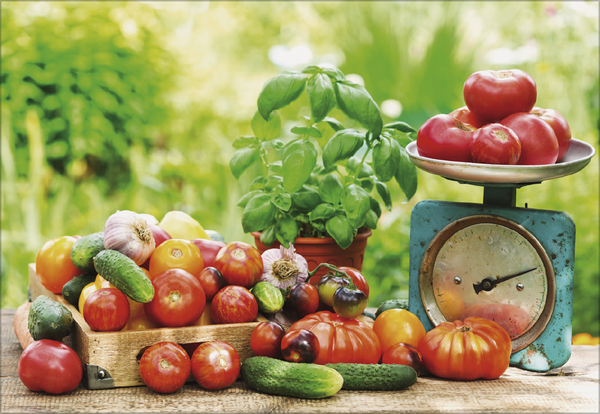 K&uuml;chenkalender 2027, Innenansicht #6