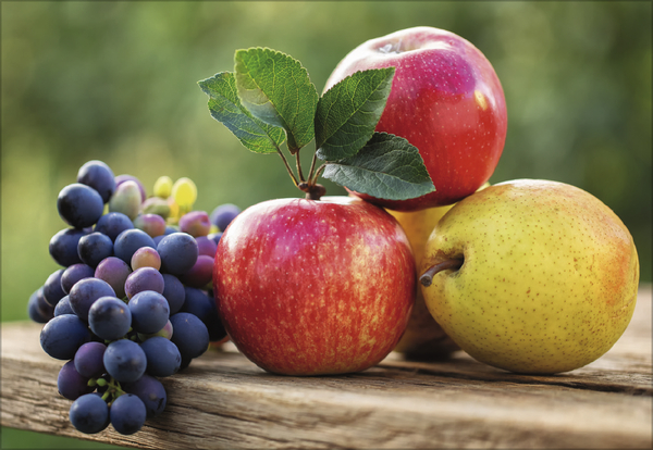 K&uuml;chenkalender 2027, Innenansicht #8