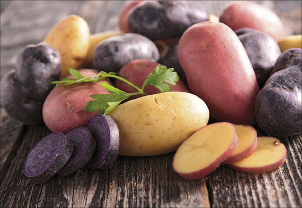 K&uuml;chenkalender 2027, Innenansicht #11