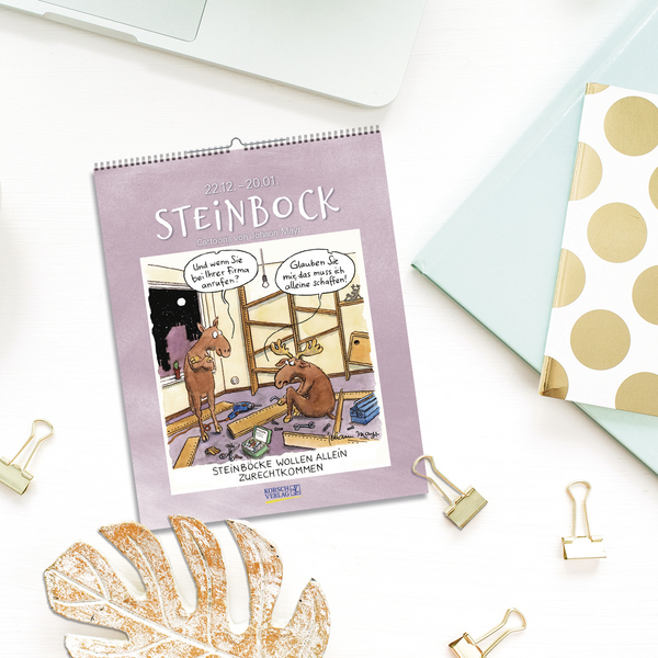 Steinbock 2027, Innenansicht #16