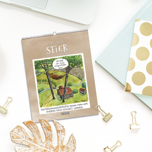 Stier 2027, Innenansicht #16