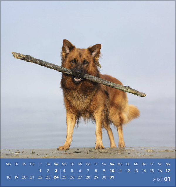 Hunde 2027, Innenansicht #1