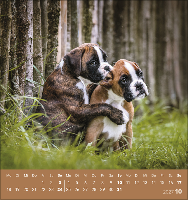 Hunde 2027, Innenansicht #10