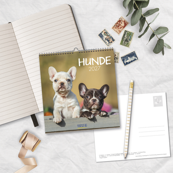 Hunde 2027, Innenansicht #16