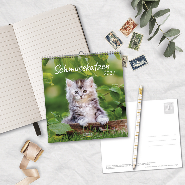 Schmusekatzen 2027, Innenansicht #16