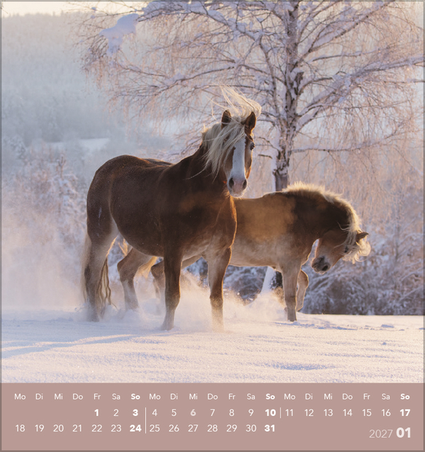 Traumpferde 2027, Innenansicht #1