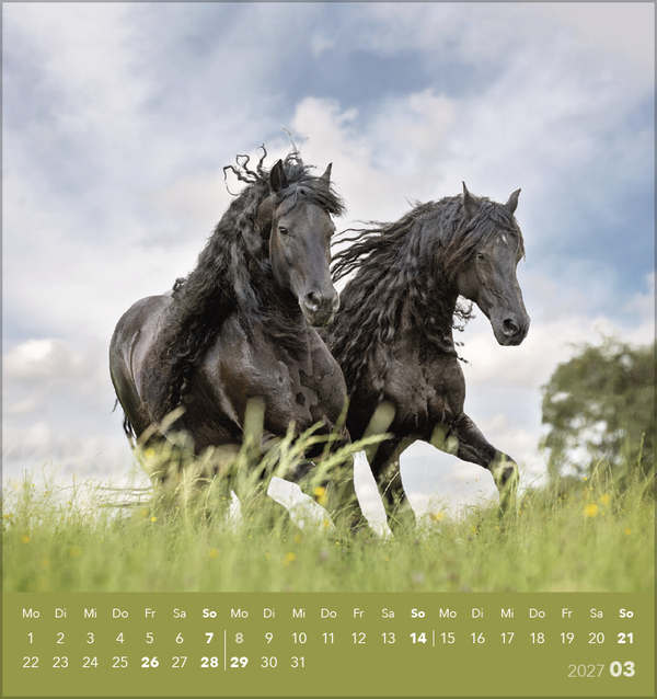 Traumpferde 2027, Innenansicht #3