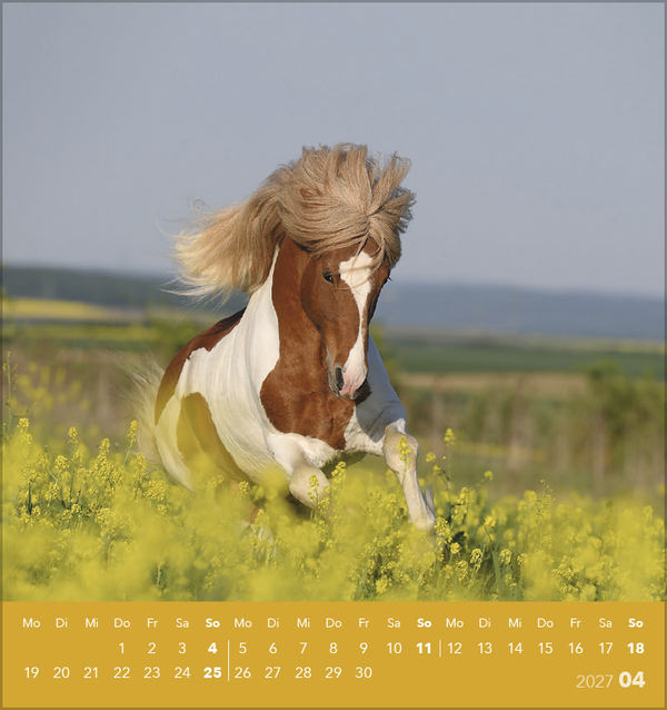 Traumpferde 2027, Innenansicht #4