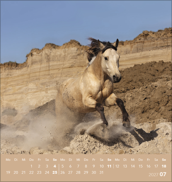 Traumpferde 2027, Innenansicht #7