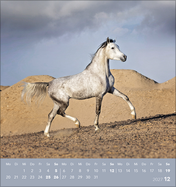 Traumpferde 2027, Innenansicht #12