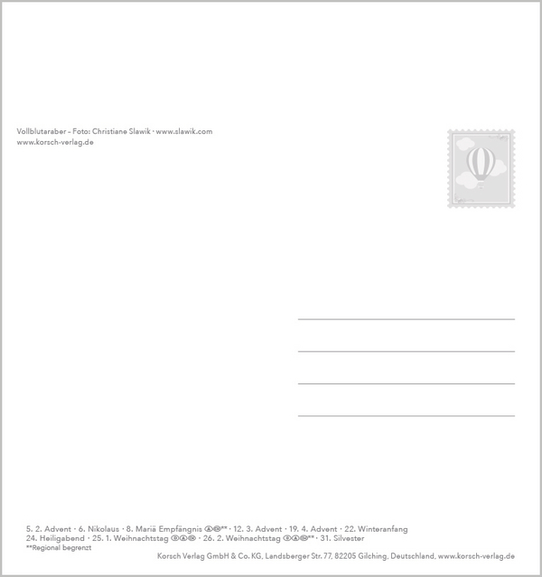 Traumpferde 2027, Innenansicht #13