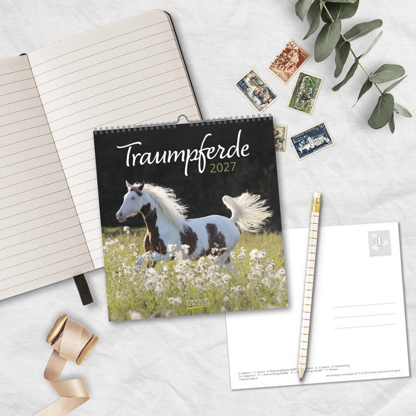 Traumpferde 2027, Innenansicht #16