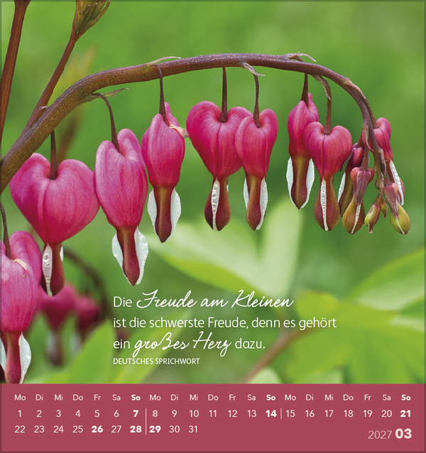 Sch&ouml;n, dass es dich gibt! 2027, Innenansicht #3