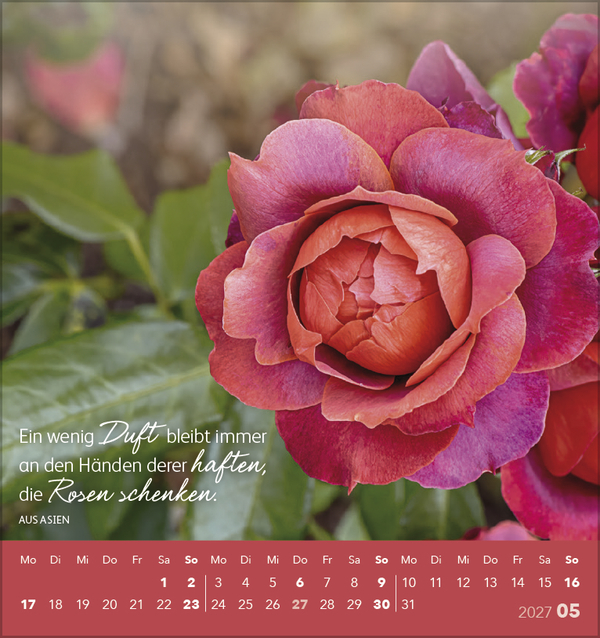 Sch&ouml;n, dass es dich gibt! 2027, Innenansicht #5