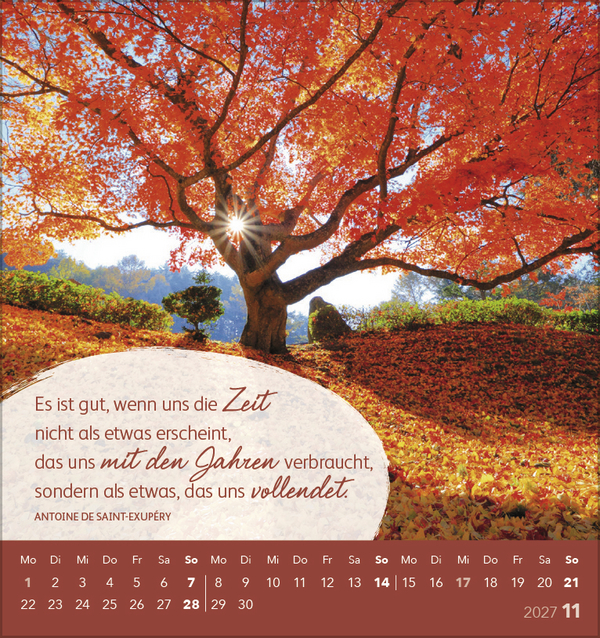 Sch&ouml;n, dass es dich gibt! 2027, Innenansicht #11