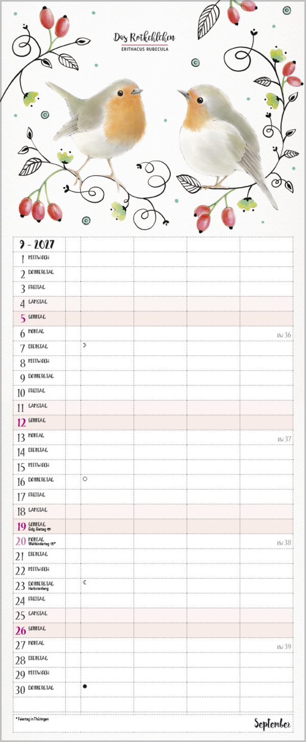 Familienplaner Pretty Birds 2027, Innenansicht #9