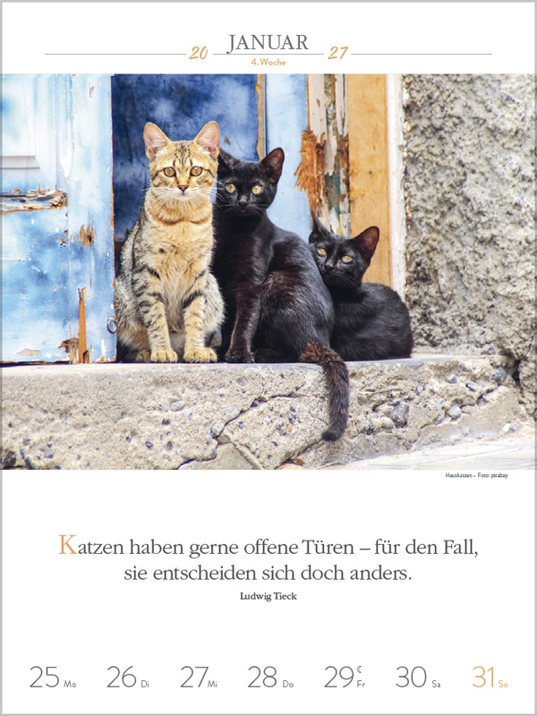 Literaturkalender Katzen 2027, Innenansicht #1