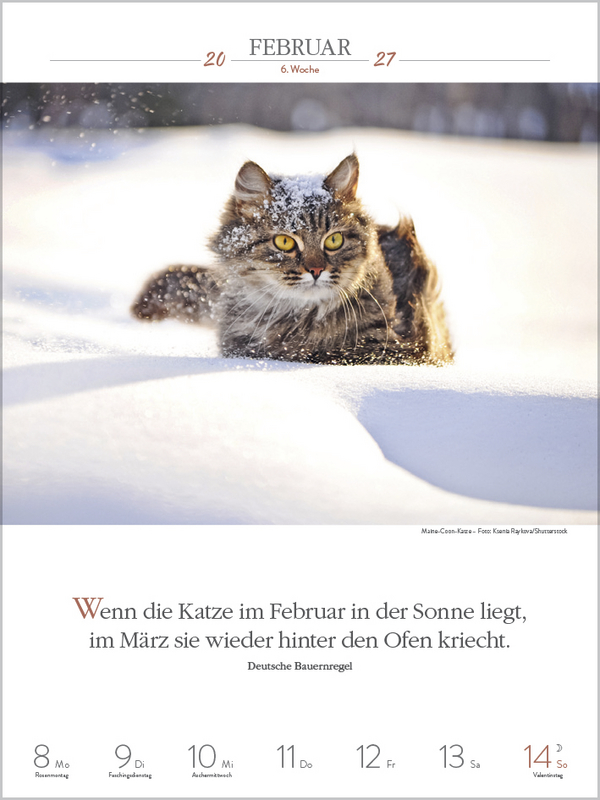 Literaturkalender Katzen 2027, Innenansicht #2