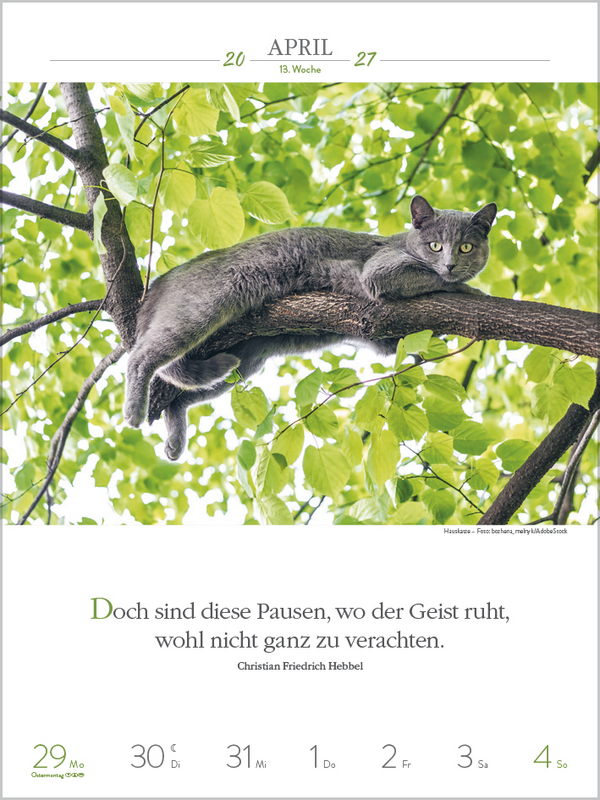 Literaturkalender Katzen 2027, Innenansicht #3