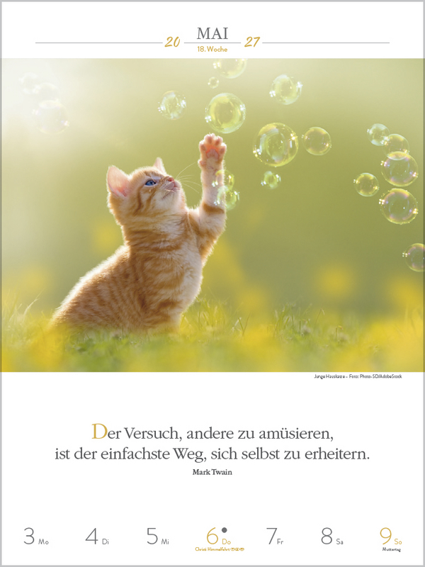 Literaturkalender Katzen 2027, Innenansicht #5