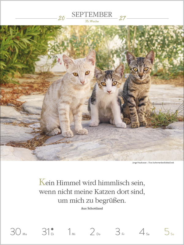 Literaturkalender Katzen 2027, Innenansicht #9